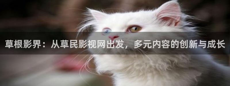 羞羞影院福利院：草根影界：从草民影视网出发，多元内容的创新与成长