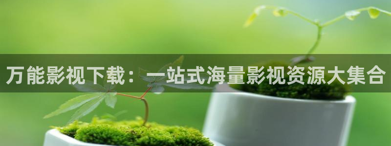 羞羞91影院：万能影视下载：一站式海量影视资源大集合